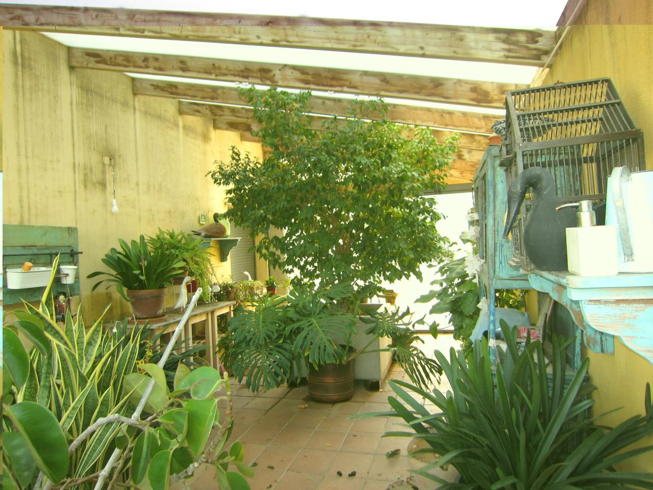 Roquetes Pilans - Chalet en Venta - Exp:13144: Inmuebles de Fincas Baix Ebre Roquetes Pilans - Chalet en Venta - Exp:13144: Inmuebles de Fincas Baix Ebre