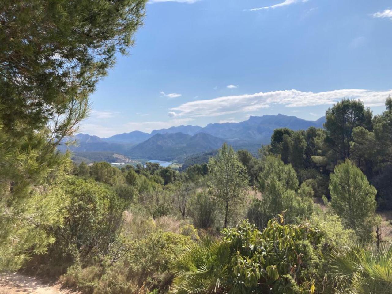 Benifallet Bassa Roja - Chalet Rústico en Venta - Exp:17044: Inmuebles de Fincas Baix Ebre Benifallet Bassa Roja - Chalet Rústico en Venta - Exp:17044: Inmuebles de Fincas Baix Ebre