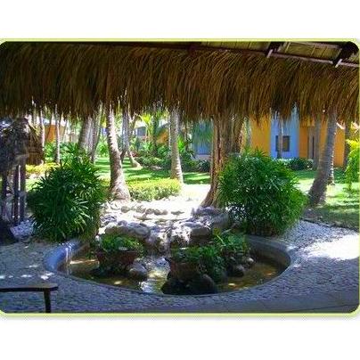 Diseño y ejecución de jardines: Servicios de Xana Diseño y ejecución de jardines: Servicios de Xana