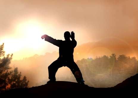 Tai Chi: Servicios de Yemukwan Almería Tai Chi: Servicios de Yemukwan Almería