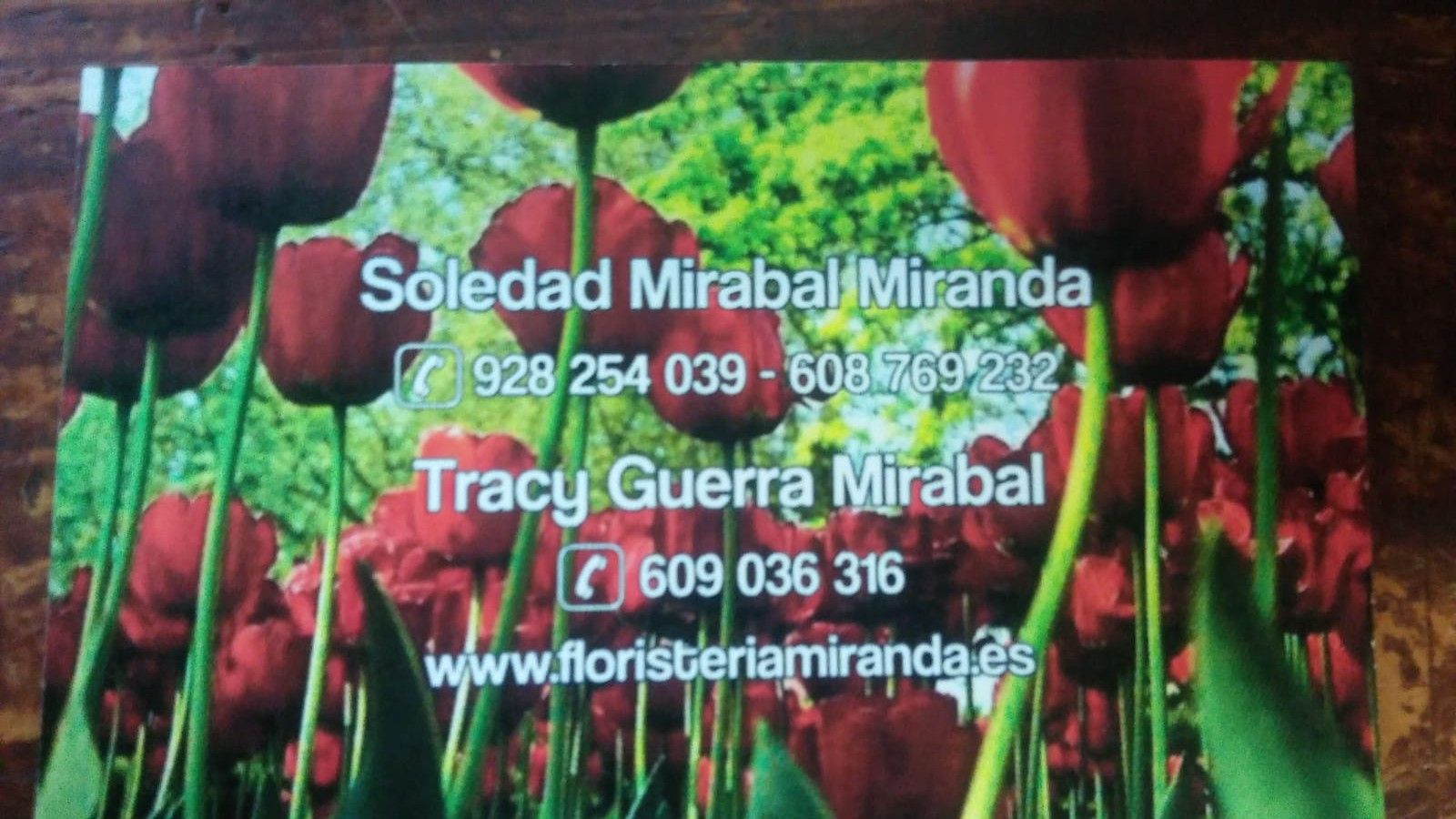 Nuestros servicios: Productos y servicios de Floristería Miranda