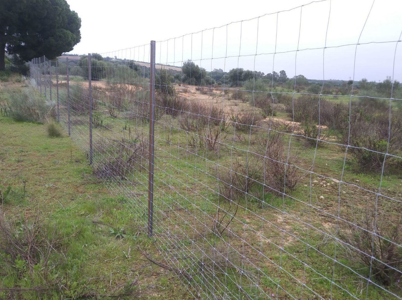 Cercado malla anudada: Productos y Servicios de Mallas Aroa Cercado malla anudada: Productos y Servicios de Mallas Aroa
