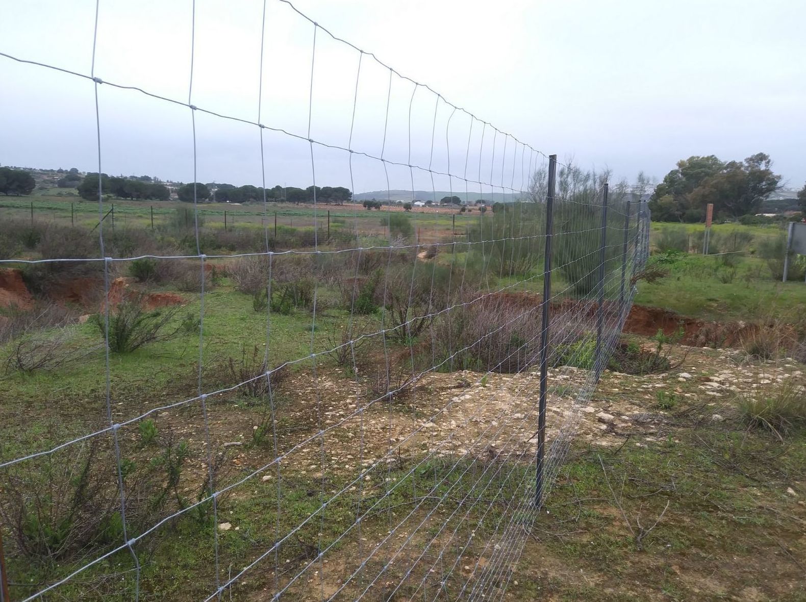 Cercado malla anudada: Productos y Servicios de Mallas Aroa Cercado malla anudada: Productos y Servicios de Mallas Aroa