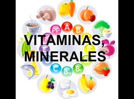 Vitminas y minerales: Servicios de Herboristería La Espiga de Oro Vitminas y minerales: Servicios de Herboristería La Espiga de Oro