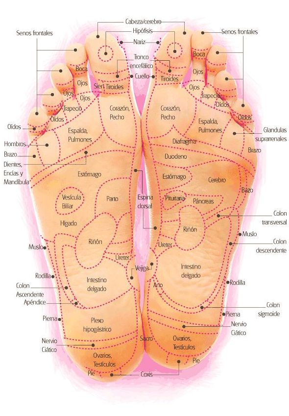 Reflexologia podal: Servicios de Herboristería La Espiga de Oro Reflexologia podal: Servicios de Herboristería La Espiga de Oro