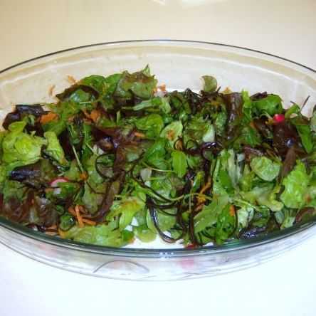 Ensalada de algas : Servicios de Herboristería La Espiga de Oro Ensalada de algas : Servicios de Herboristería La Espiga de Oro
