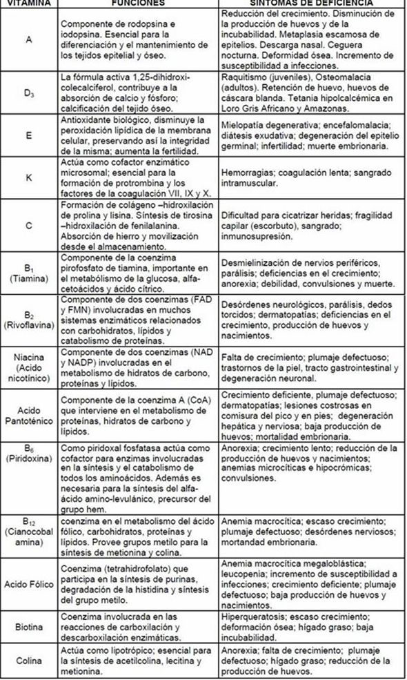 Vitminas y minerales: Servicios de Herboristería La Espiga de Oro Vitminas y minerales: Servicios de Herboristería La Espiga de Oro