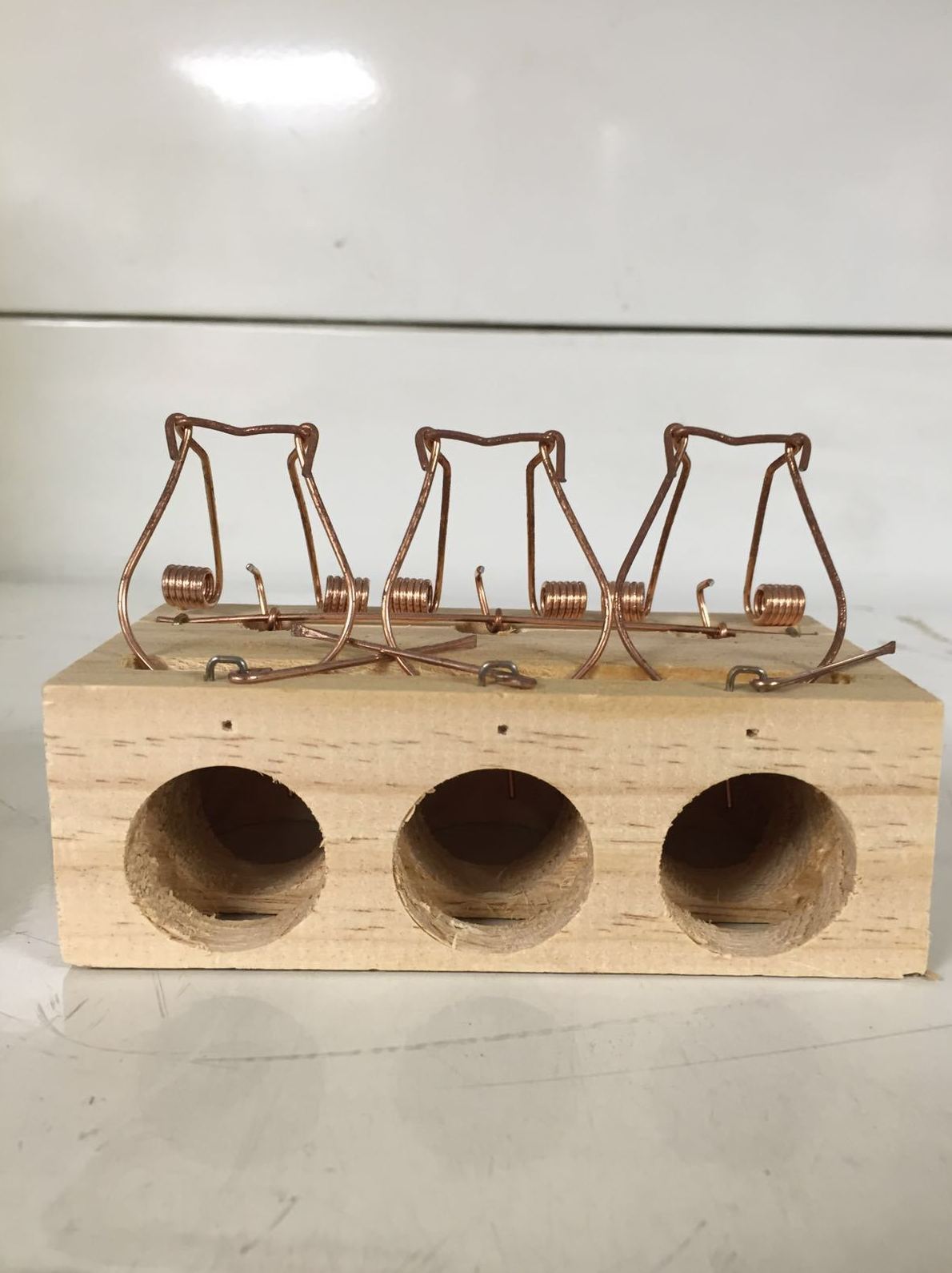 Veneno y Trampas para ratas: Productos de Piensos Alonso Veneno y Trampas para ratas: Productos de Piensos Alonso