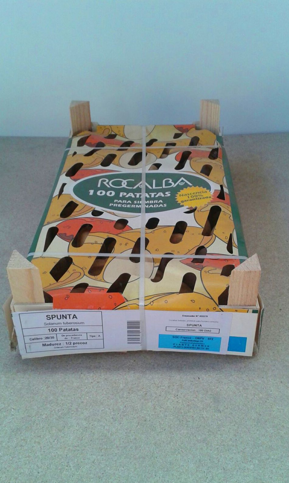 Venta de Patatas para siembra pregerminada en Gallarta Venta de Patatas para siembra pregerminada en Gallarta