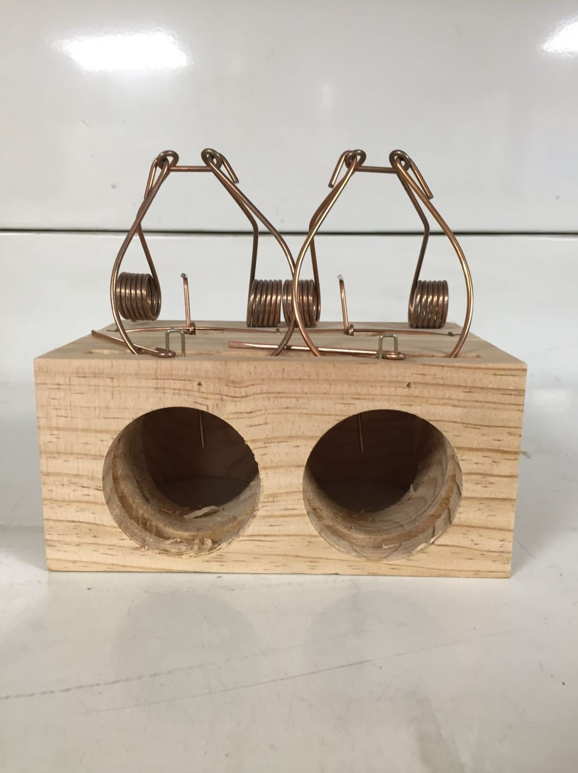 Veneno y Trampas para ratas: Productos de Piensos Alonso Veneno y Trampas para ratas: Productos de Piensos Alonso