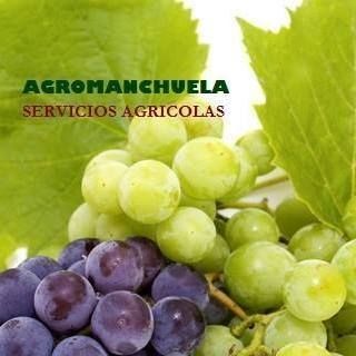 Servicios agrarios: Servicios de AGROManchuela Servicios agrarios: Servicios de AGROManchuela