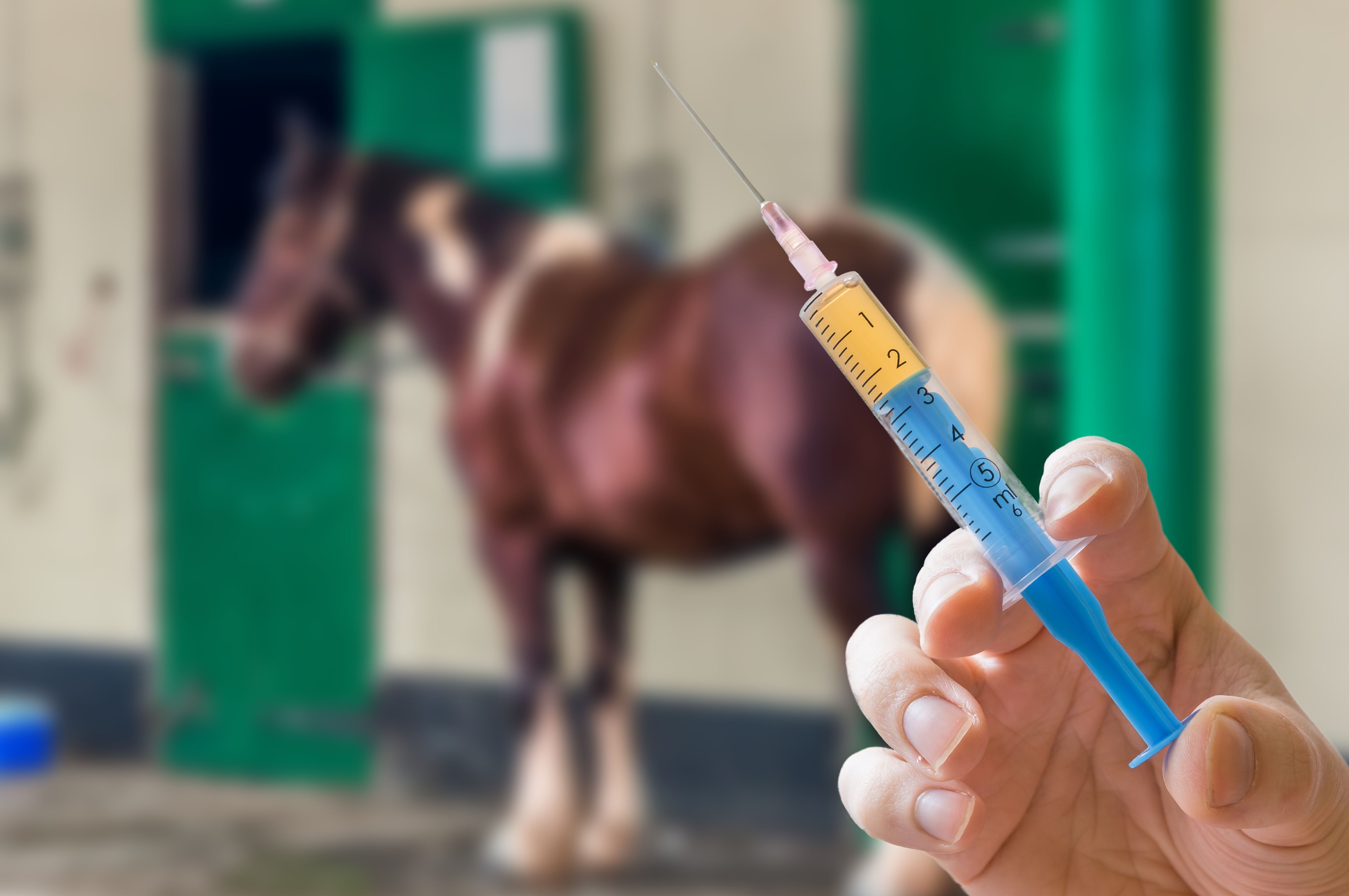 Analítica: Servicios de Clínica Veterinaria Parque Analítica: Servicios de Clínica Veterinaria Parque