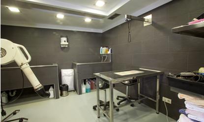 Peluqueria: Servicios de El Arca Clínica Veterinaria Peluqueria: Servicios de El Arca Clínica Veterinaria