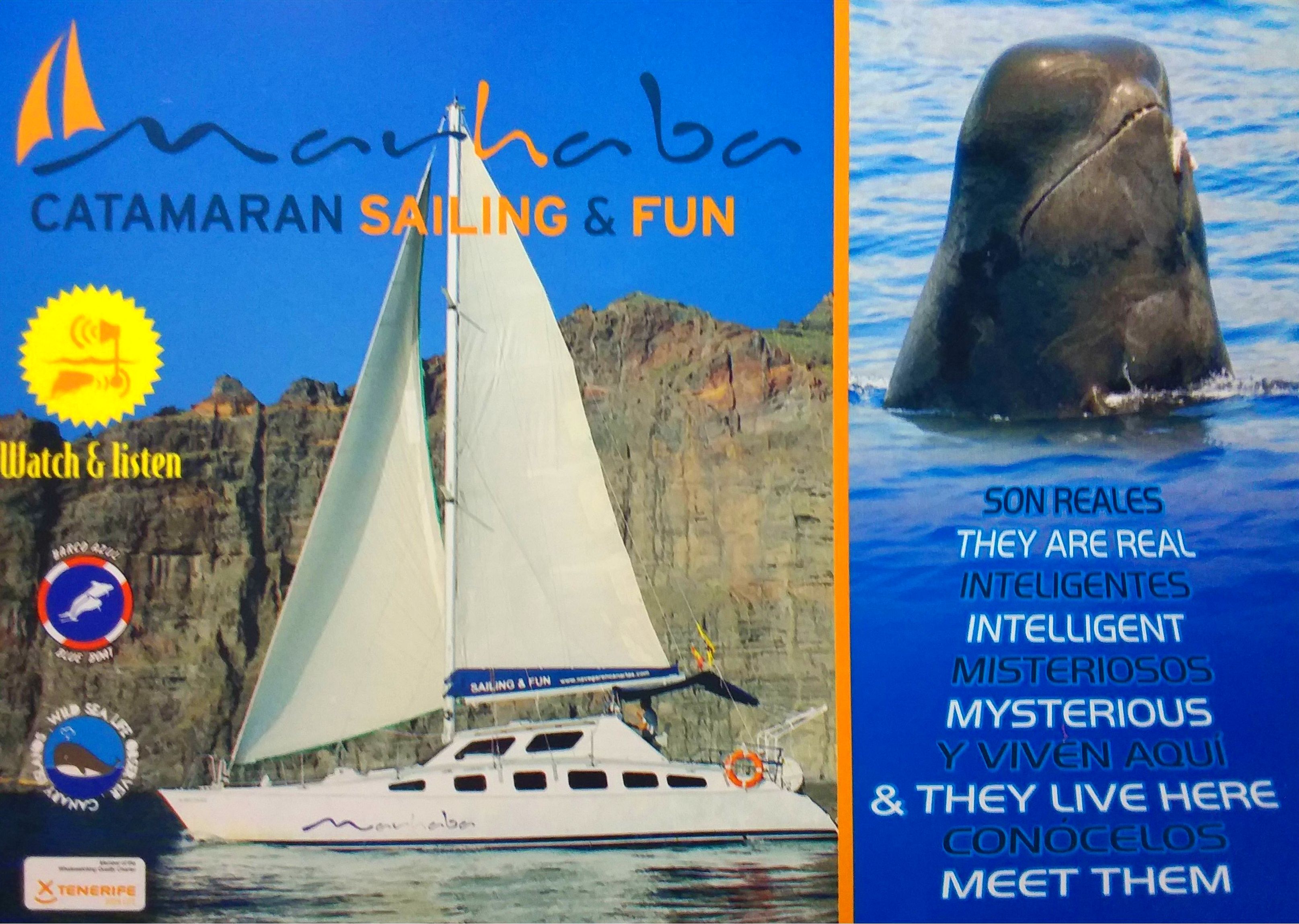 Boat Trips: Services de Catamarán Marhaba Boat Trips: Services de Catamarán Marhaba