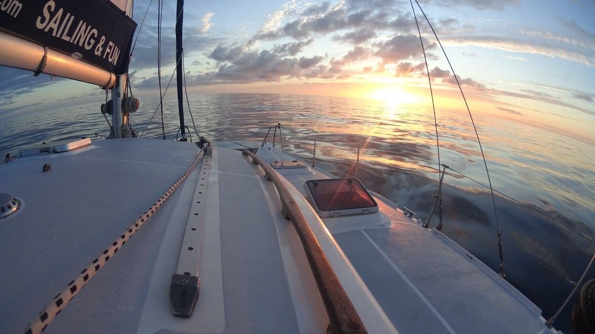 Boat trips in the Canary Islands