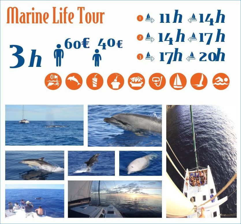 Boat Trips: Services de Catamarán Marhaba Boat Trips: Services de Catamarán Marhaba