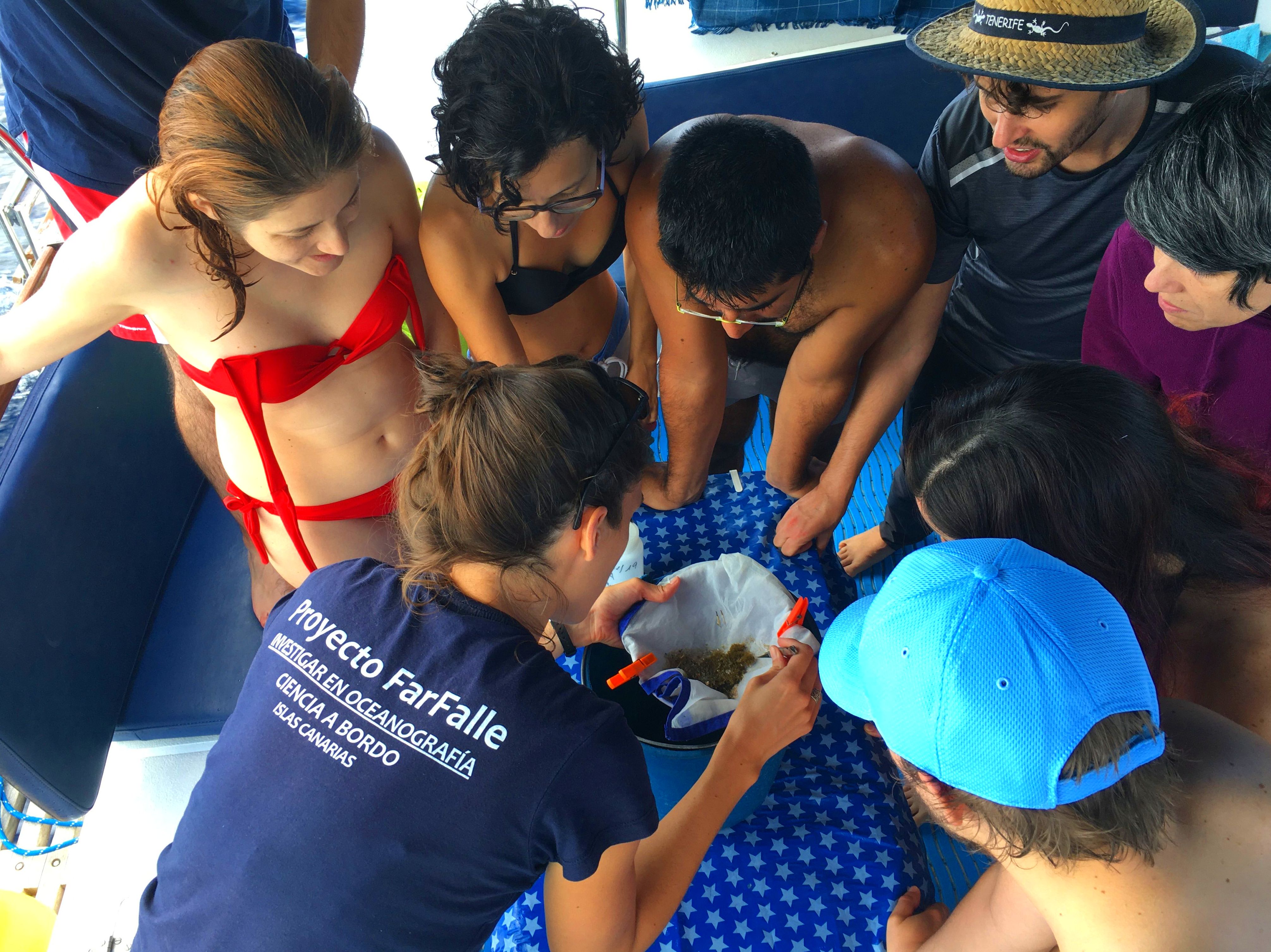 Science on board with Proyecto Farfalle: Services de Catamarán Marhaba Science on board with Proyecto Farfalle: Services de Catamarán Marhaba