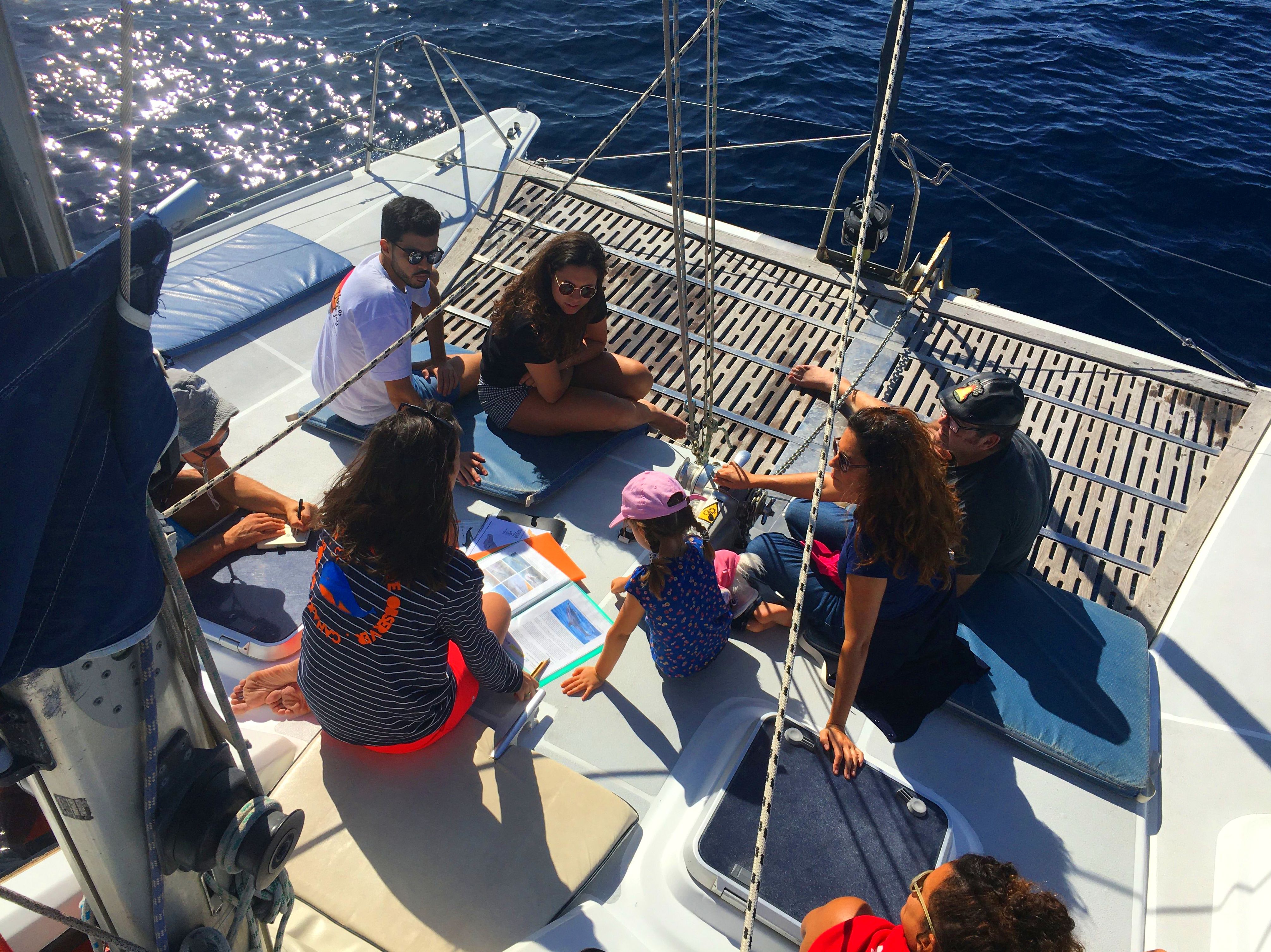 Science on board with Proyecto Farfalle: Services de Catamarán Marhaba Science on board with Proyecto Farfalle: Services de Catamarán Marhaba