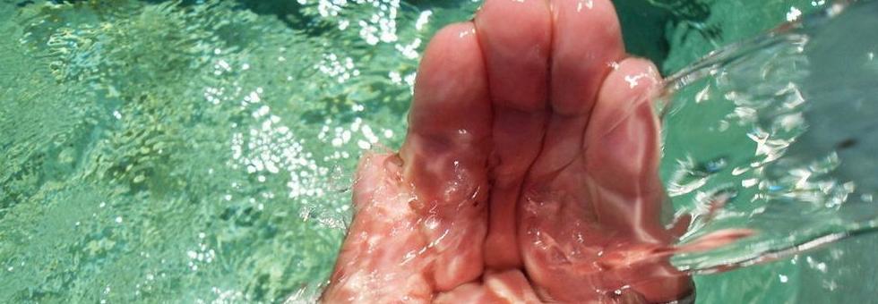 Desinfecciones en Cuenca Desinfecciones en Cuenca