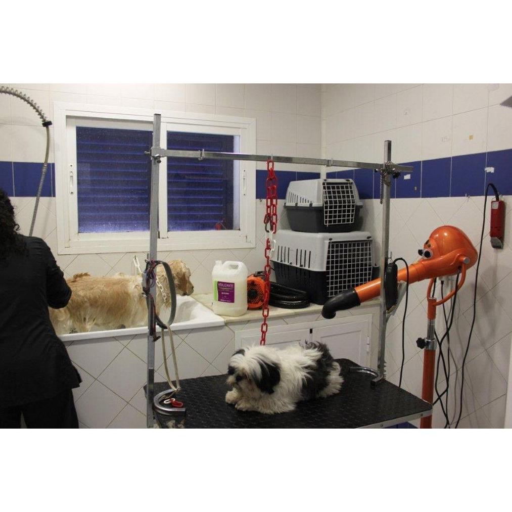 Peluquería canina y felina: Servicios de Clínica Veterinaria Fábula Peluquería canina y felina: Servicios de Clínica Veterinaria Fábula