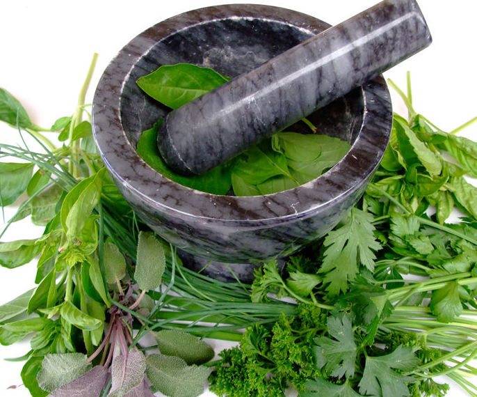 Plantas medicinales : Productos y servicios de Herbolario Loto Dorado Plantas medicinales : Productos y servicios de Herbolario Loto Dorado