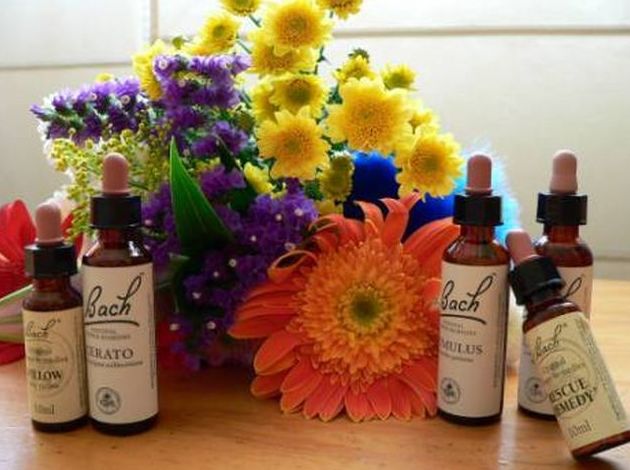 Flores de Bach : Productos y servicios de Herbolario Loto Dorado Flores de Bach : Productos y servicios de Herbolario Loto Dorado