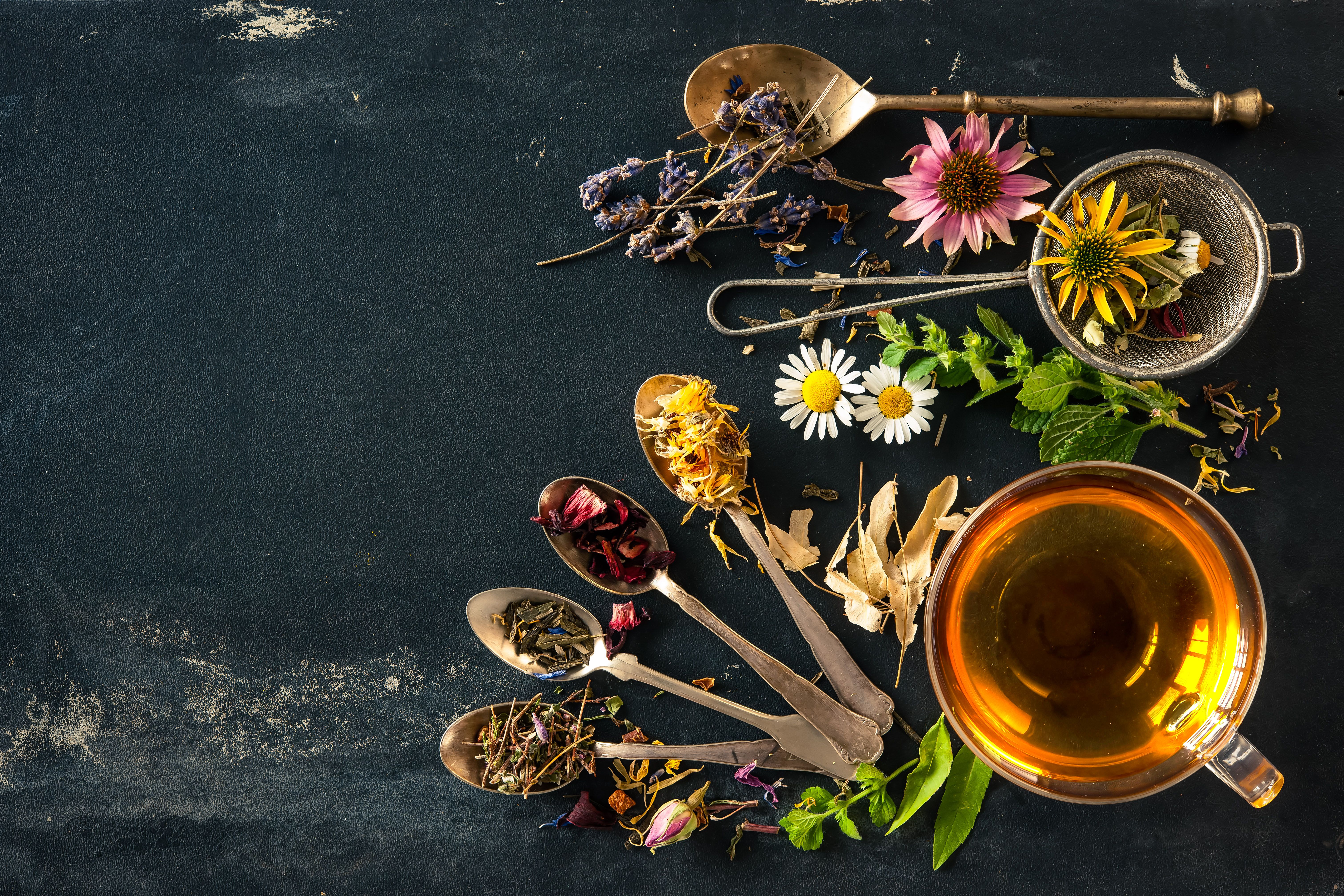 Fitoterapia: Farmacia y Parafarcia de Garitaonandia Farmacia Fitoterapia: Farmacia y Parafarcia de Garitaonandia Farmacia