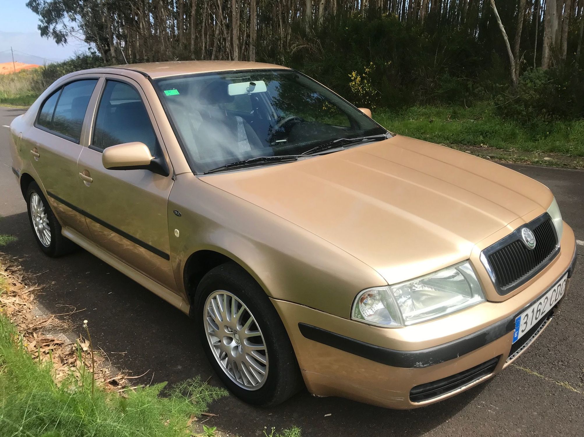 SKODA OCTAVIA 1.9 TDI Ambiente 110cv: Vehículos de ocasión de Car Plus Canarias SKODA OCTAVIA 1.9 TDI Ambiente 110cv: Vehículos de ocasión de Car Plus Canarias
