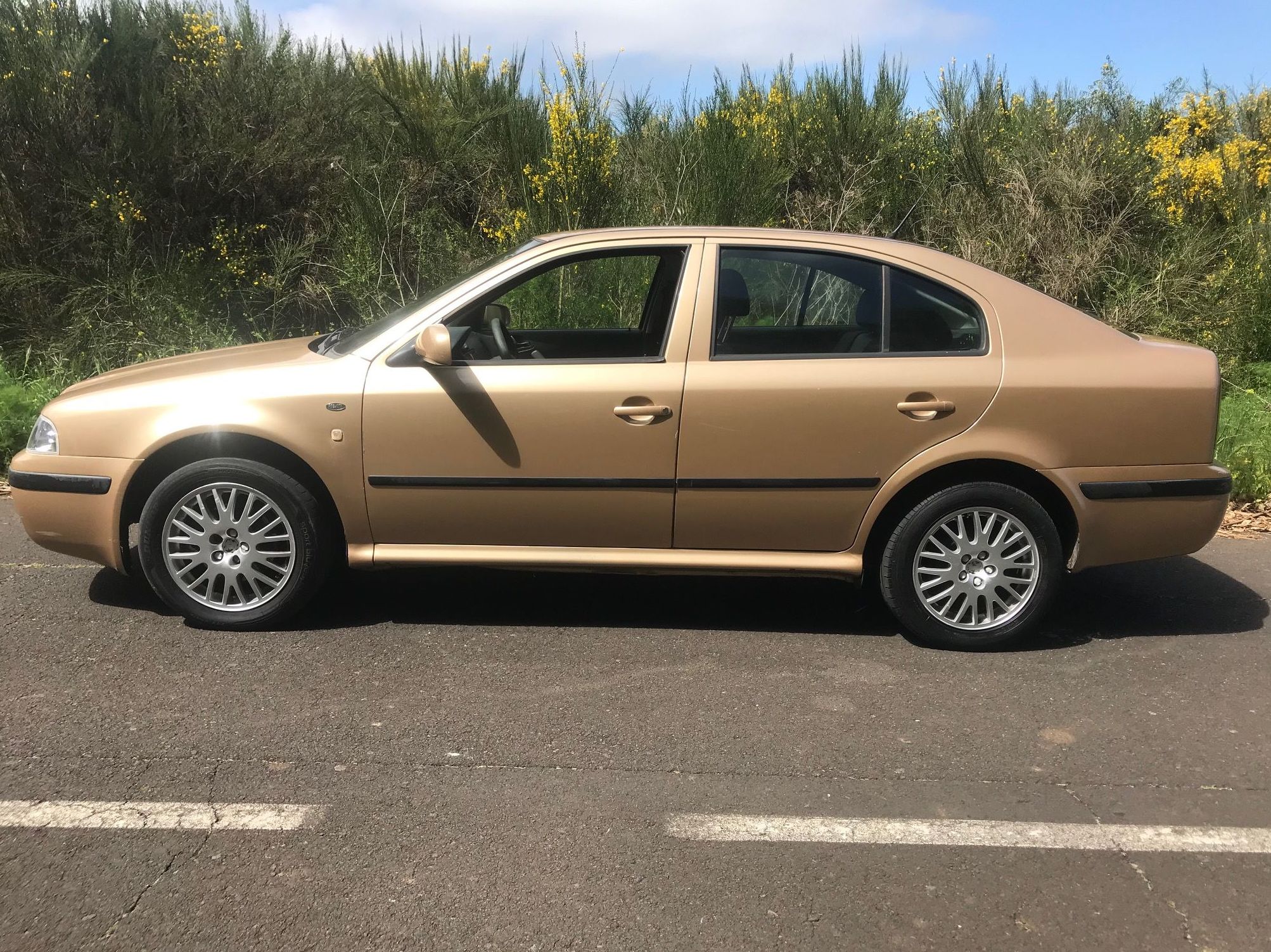 SKODA OCTAVIA 1.9 TDI Ambiente 110cv: Vehículos de ocasión de Car Plus Canarias SKODA OCTAVIA 1.9 TDI Ambiente 110cv: Vehículos de ocasión de Car Plus Canarias