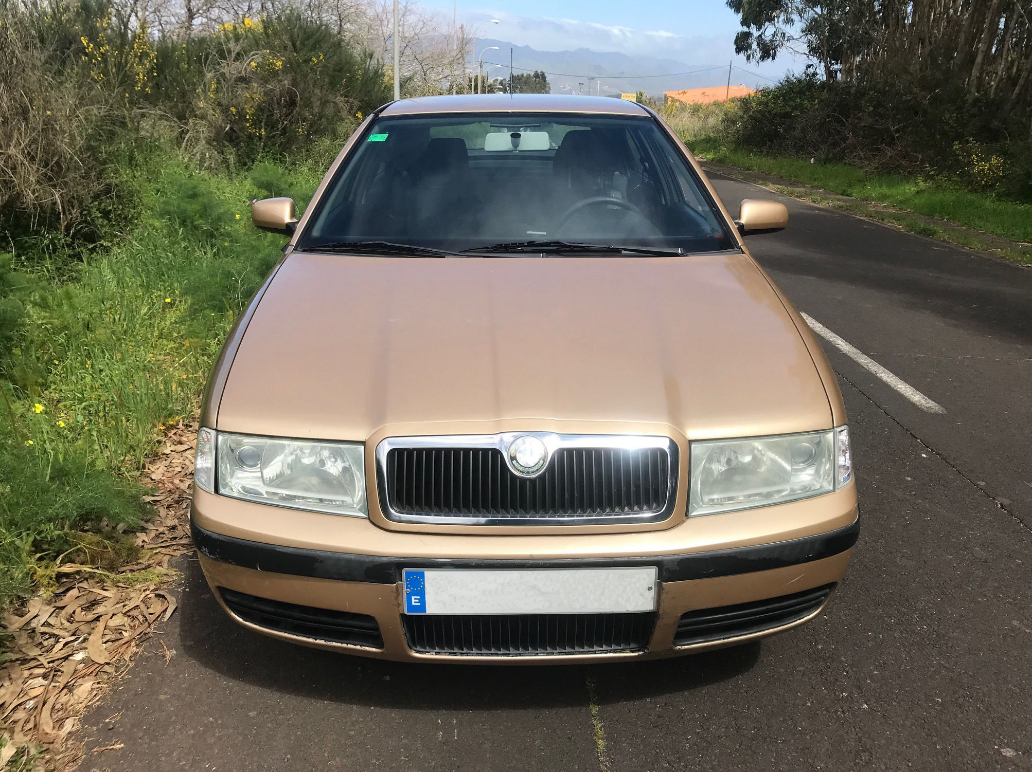 SKODA OCTAVIA 1.9 TDI Ambiente 110cv: Vehículos de ocasión de Car Plus Canarias SKODA OCTAVIA 1.9 TDI Ambiente 110cv: Vehículos de ocasión de Car Plus Canarias