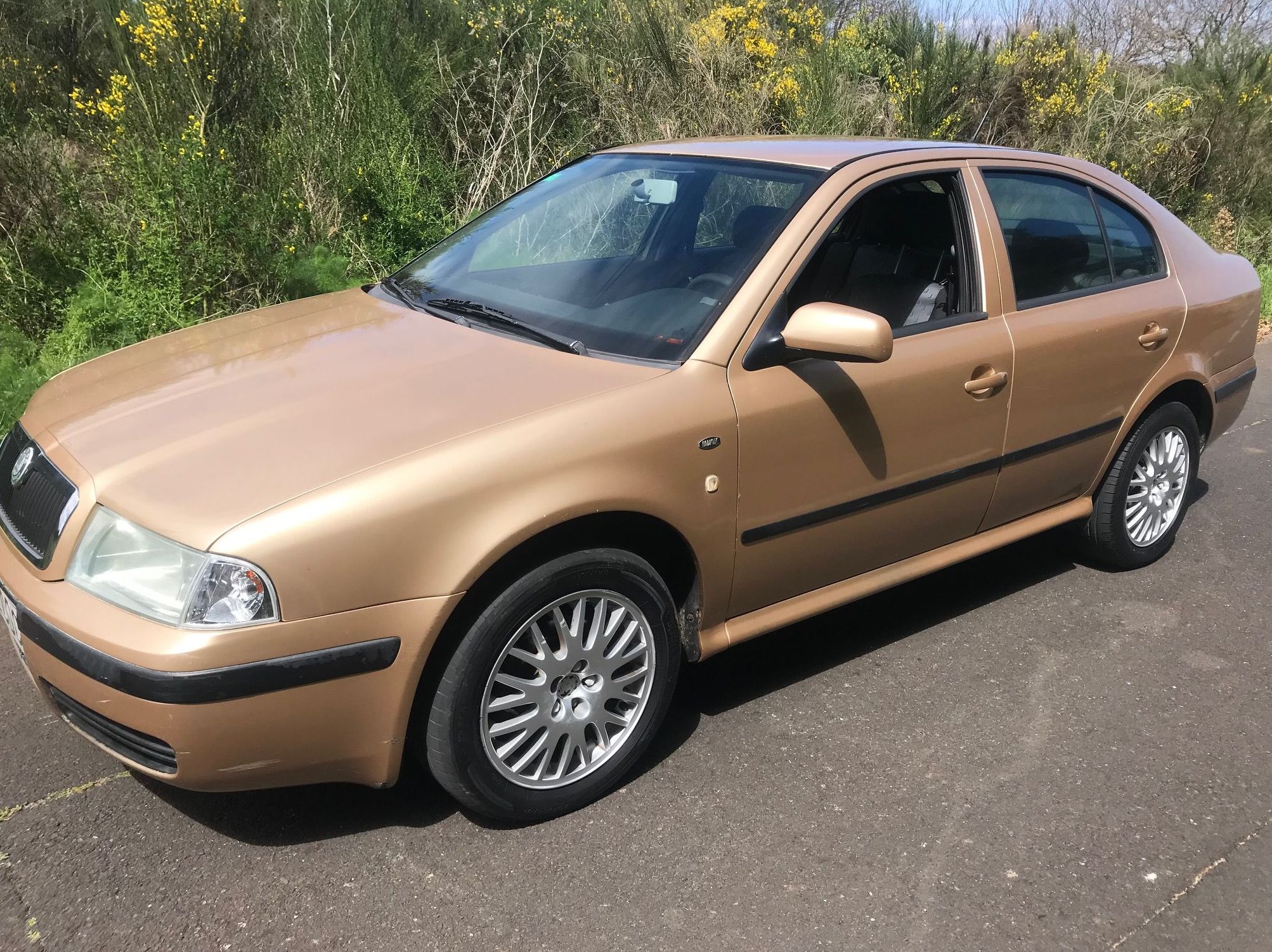 SKODA OCTAVIA 1.9 TDI Ambiente 110cv: Vehículos de ocasión de Car Plus Canarias SKODA OCTAVIA 1.9 TDI Ambiente 110cv: Vehículos de ocasión de Car Plus Canarias