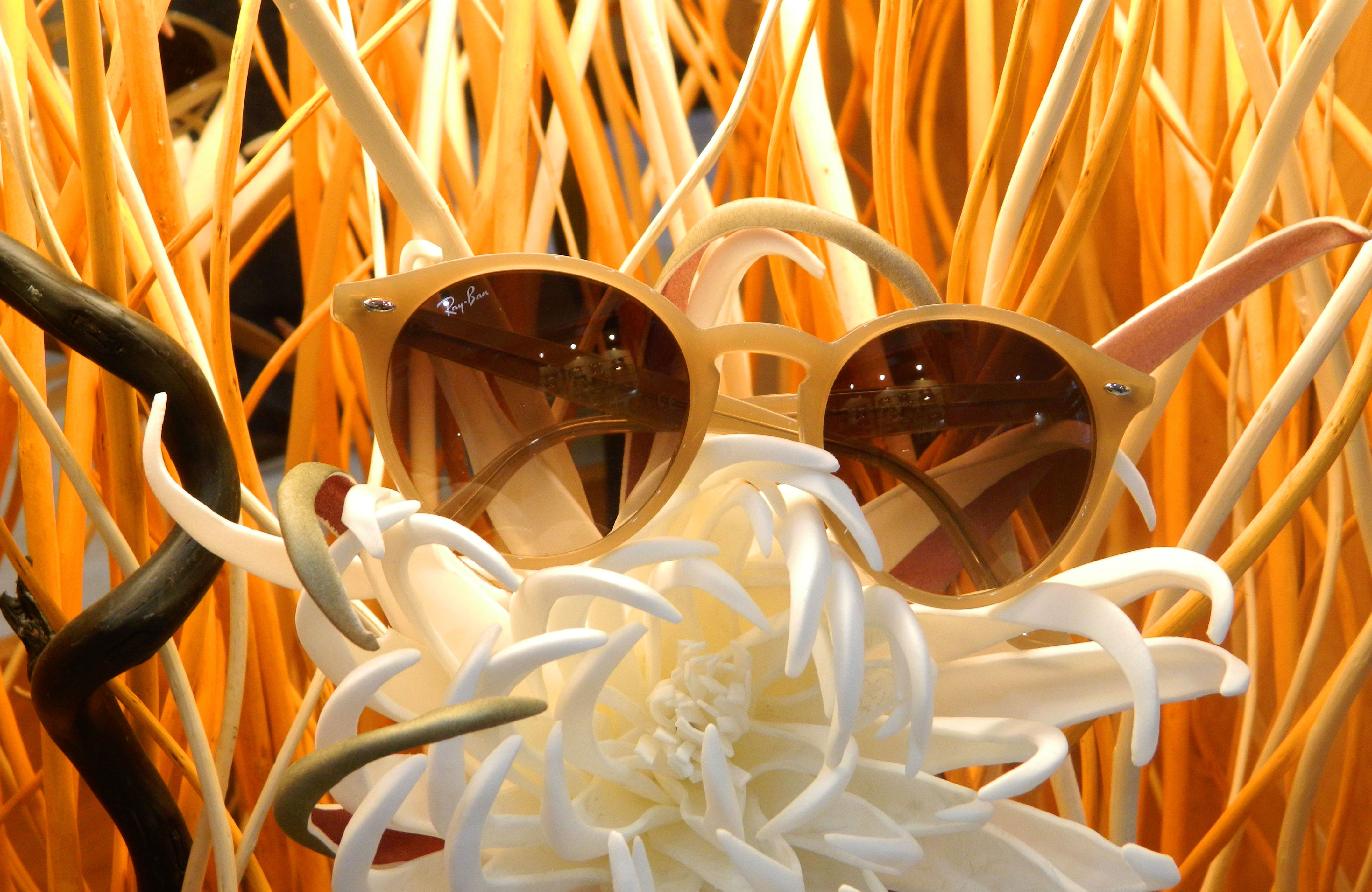 Gafas de sol : Productos y Servicios de Centro Óptico Miró Gafas de sol : Productos y Servicios de Centro Óptico Miró
