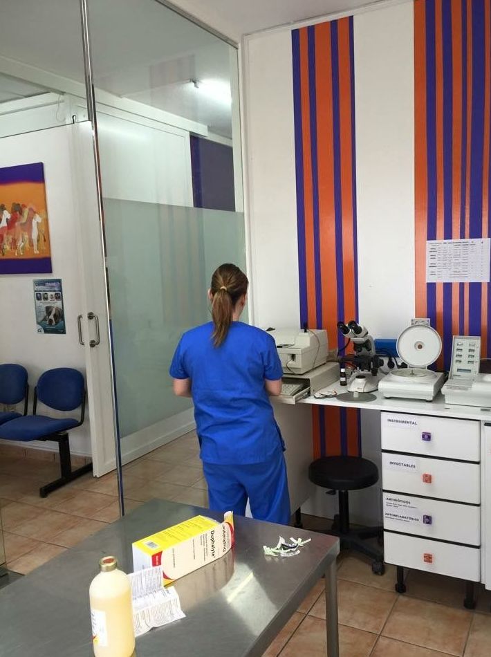 Diagnóstico: Tratamientos y servicios de Clínica Veterinaria Animals Vet Diagnóstico: Tratamientos y servicios de Clínica Veterinaria Animals Vet