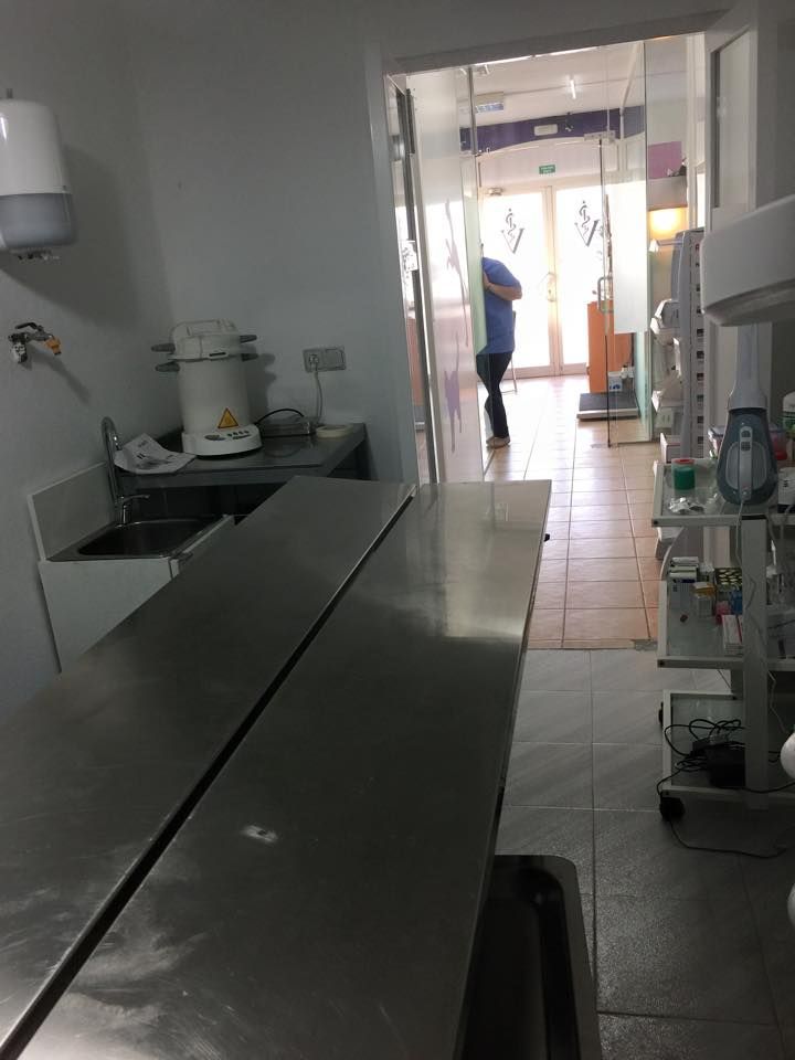 Diagnóstico: Tratamientos y servicios de Clínica Veterinaria Animals Vet Diagnóstico: Tratamientos y servicios de Clínica Veterinaria Animals Vet