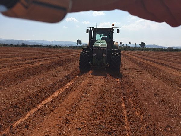 Transformaciones de fincas en Villanueva de Castellón, Valencia