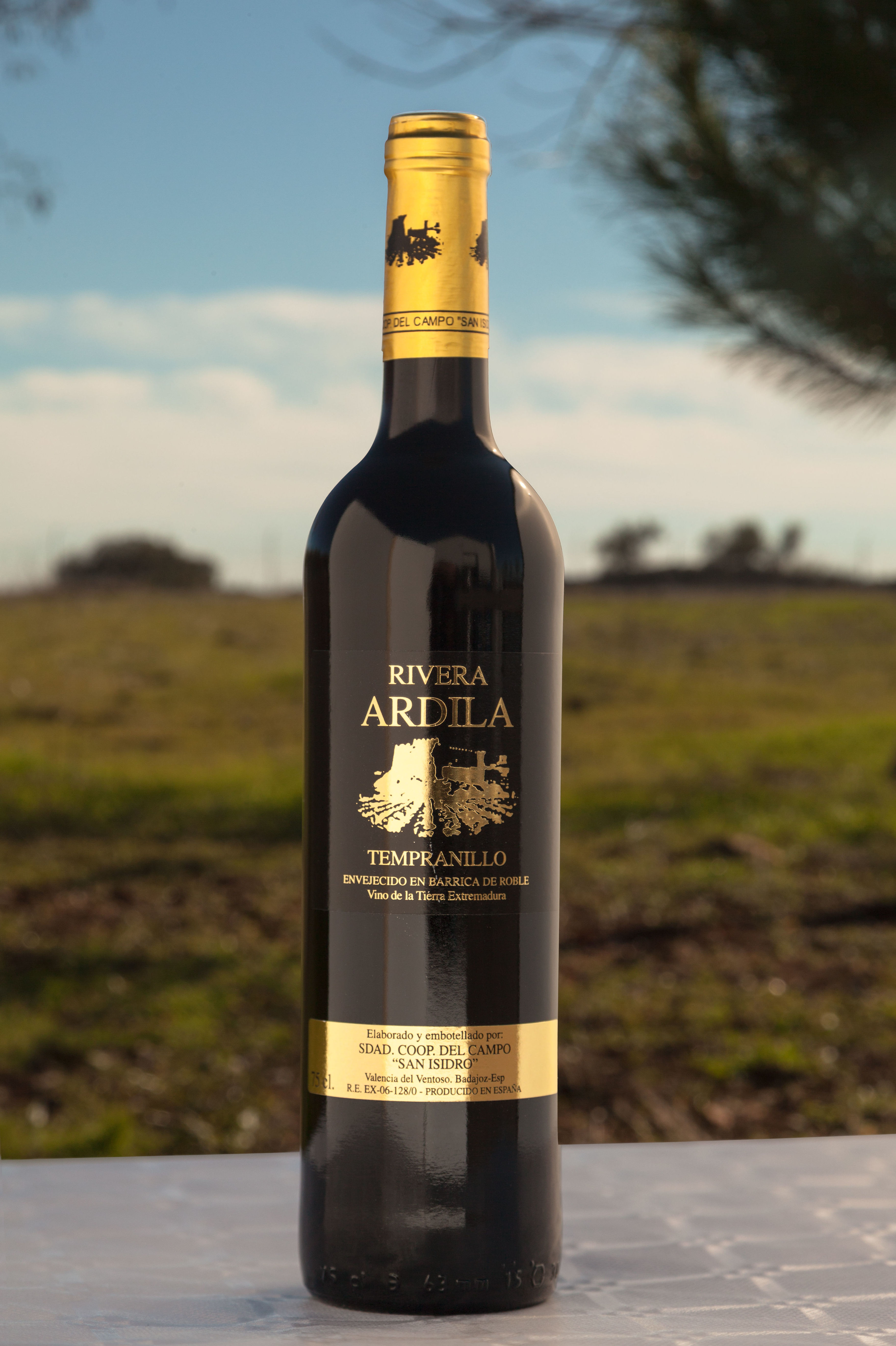Tinto Tempranillo Crianza: Productos de Cooperativa del Campo San Isidro Tinto Tempranillo Crianza: Productos de Cooperativa del Campo San Isidro