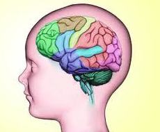 EVALUACION NEUROPSICOLOGICA : SERVICIOS de NeuroKid EVALUACION NEUROPSICOLOGICA : SERVICIOS de NeuroKid