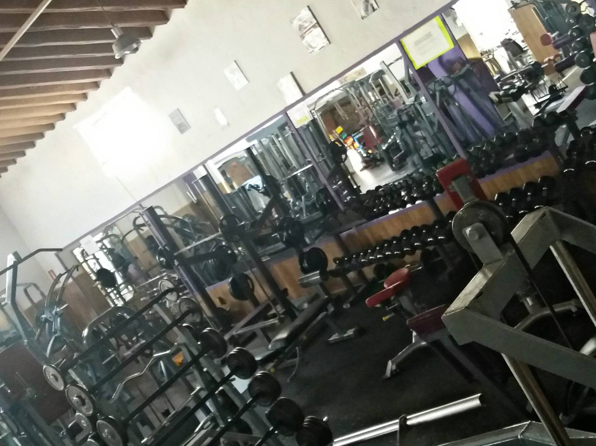 Instalaciones: Actividades de Gimnasio Guitart Instalaciones: Actividades de Gimnasio Guitart
