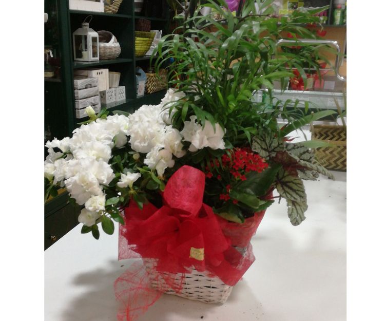 Centros de flores en A Couña