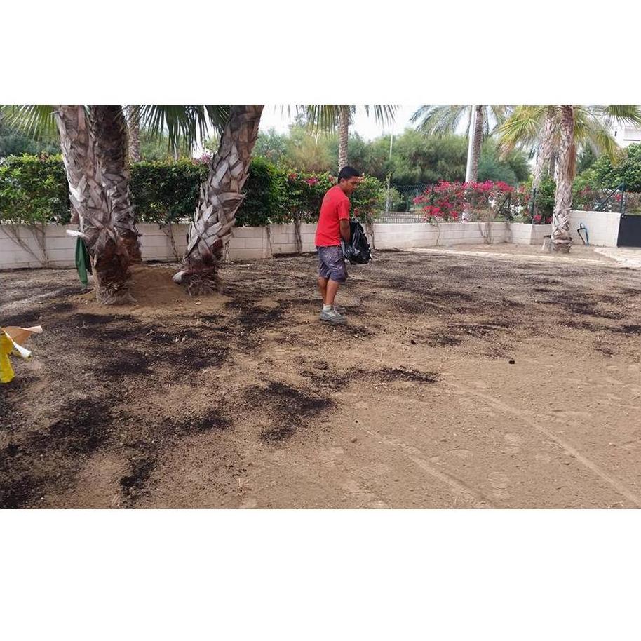 Diseño de jardines: Proyectos y servicios de Ecojardines y Ecoservicios Diseño de jardines: Proyectos y servicios de Ecojardines y Ecoservicios