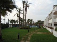 Mantenimiento de jardines en Almería