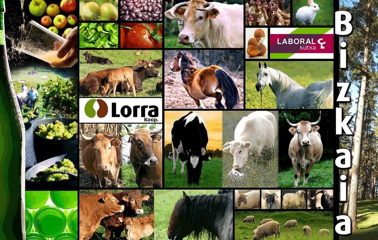 Foto 1 de Producción y comercialización agrícola en Lezama | Lorra S. COOP.
