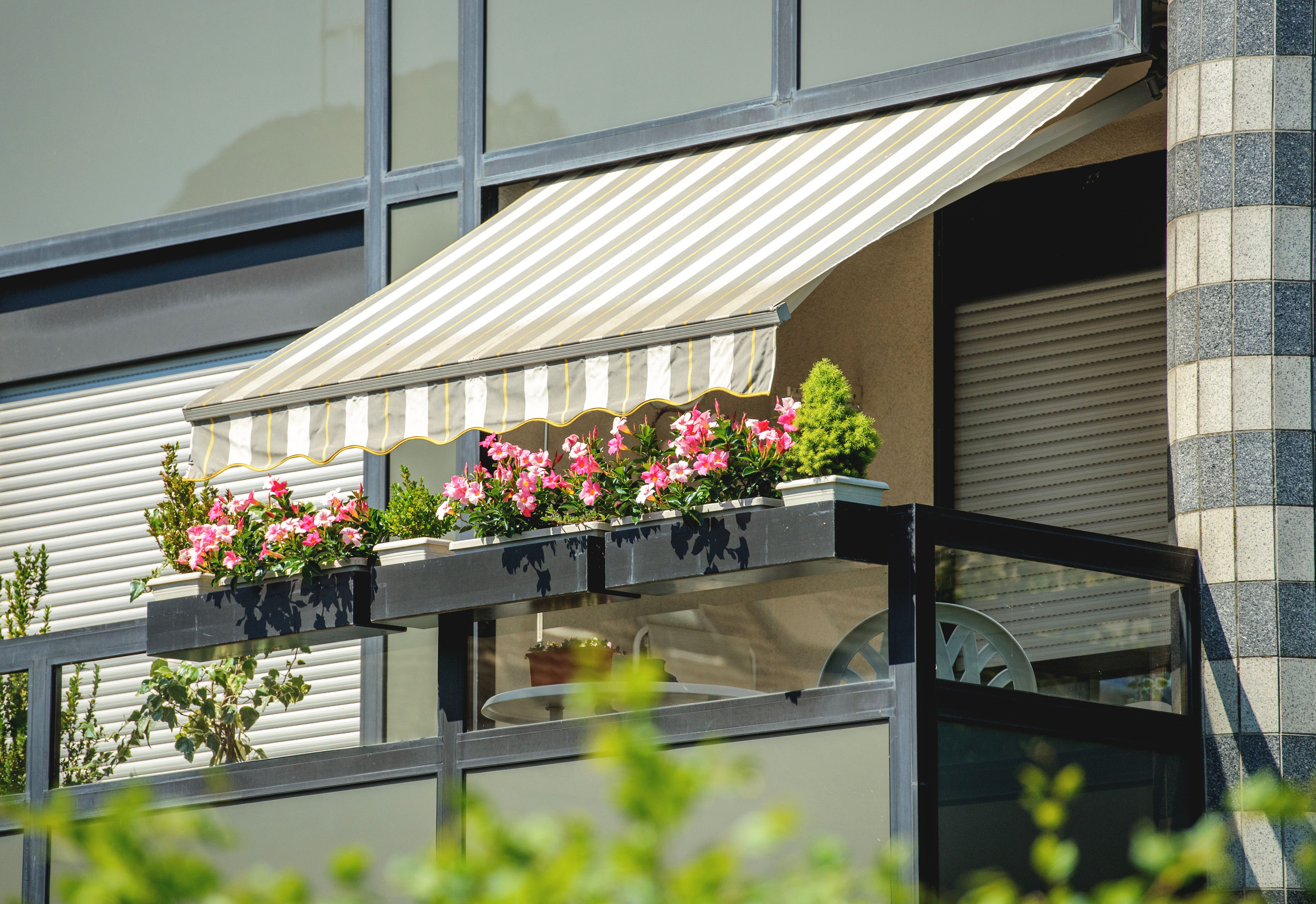 Toldos: Qué ofrecemos de Cortinas y Hogar Aurora Toldos: Qué ofrecemos de Cortinas y Hogar Aurora