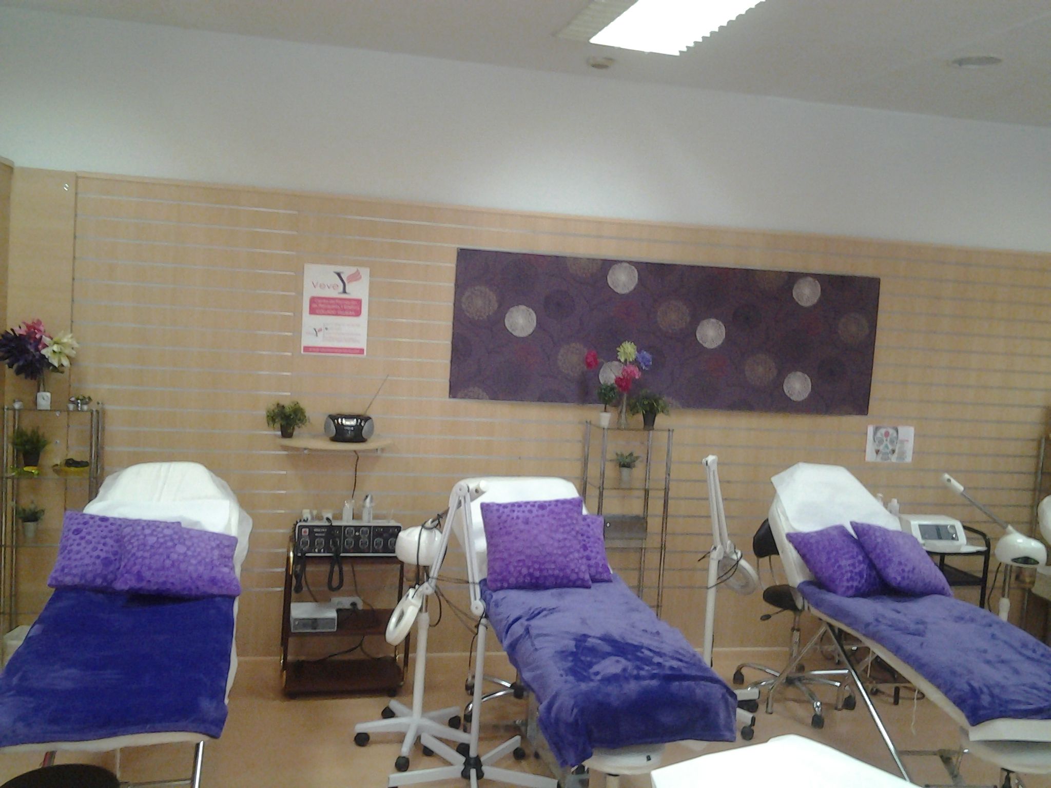Academia Vevey, instalación