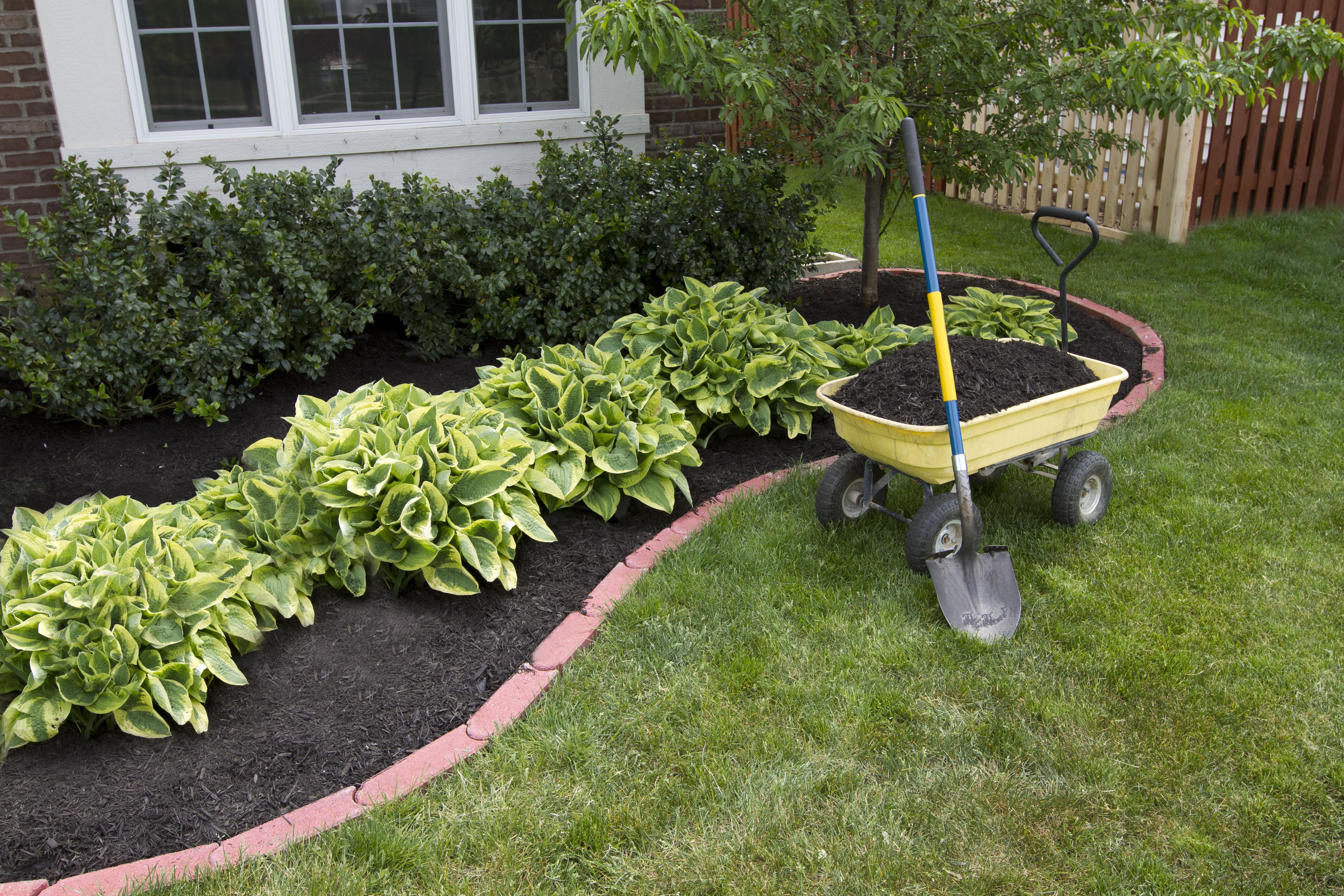 Mantenimiento de jardines: Servicios de Jardinería Monte de Oro Mantenimiento de jardines: Servicios de Jardinería Monte de Oro