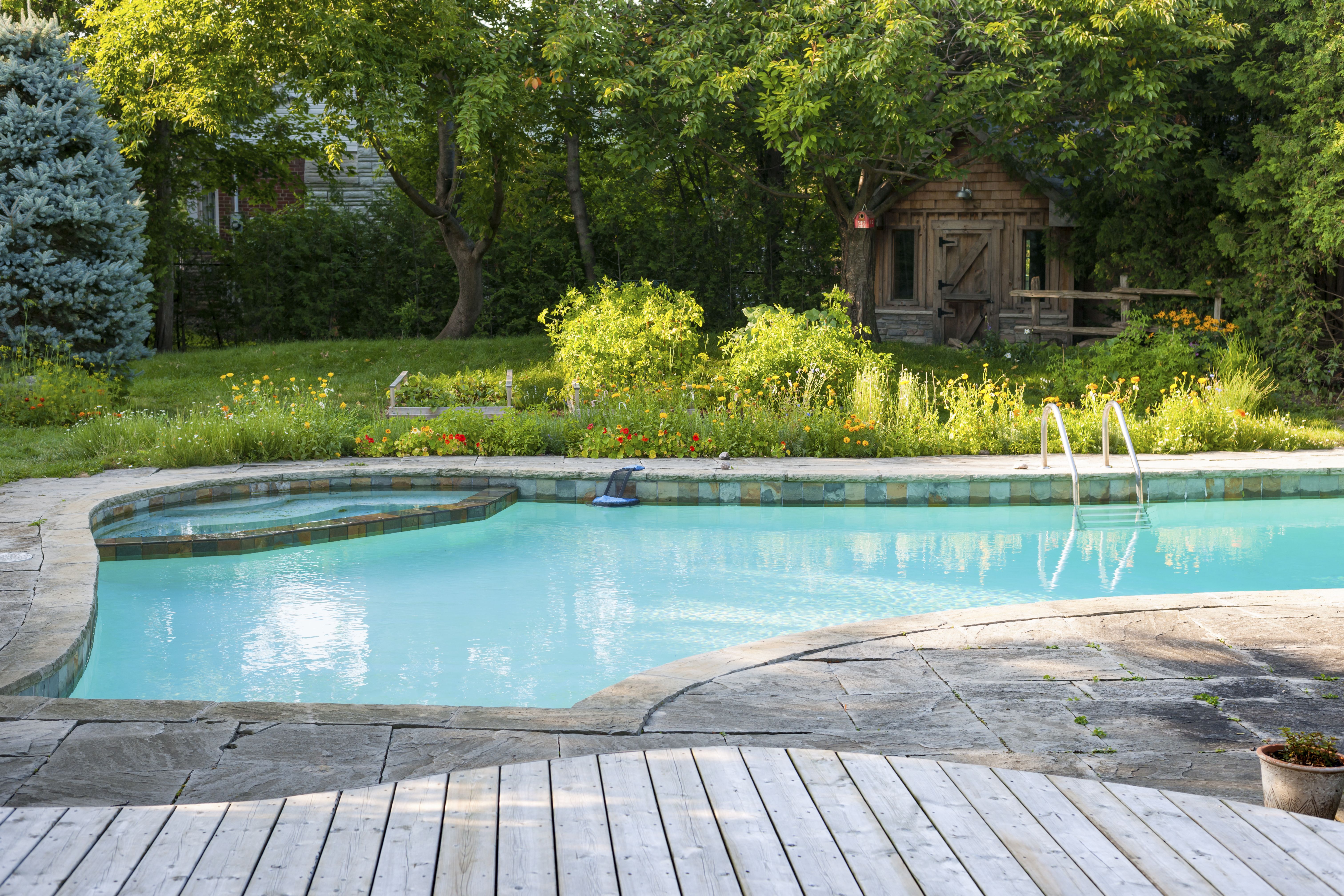 Mantenimiento de piscinas: Servicios de Jardinería Monte de Oro Mantenimiento de piscinas: Servicios de Jardinería Monte de Oro