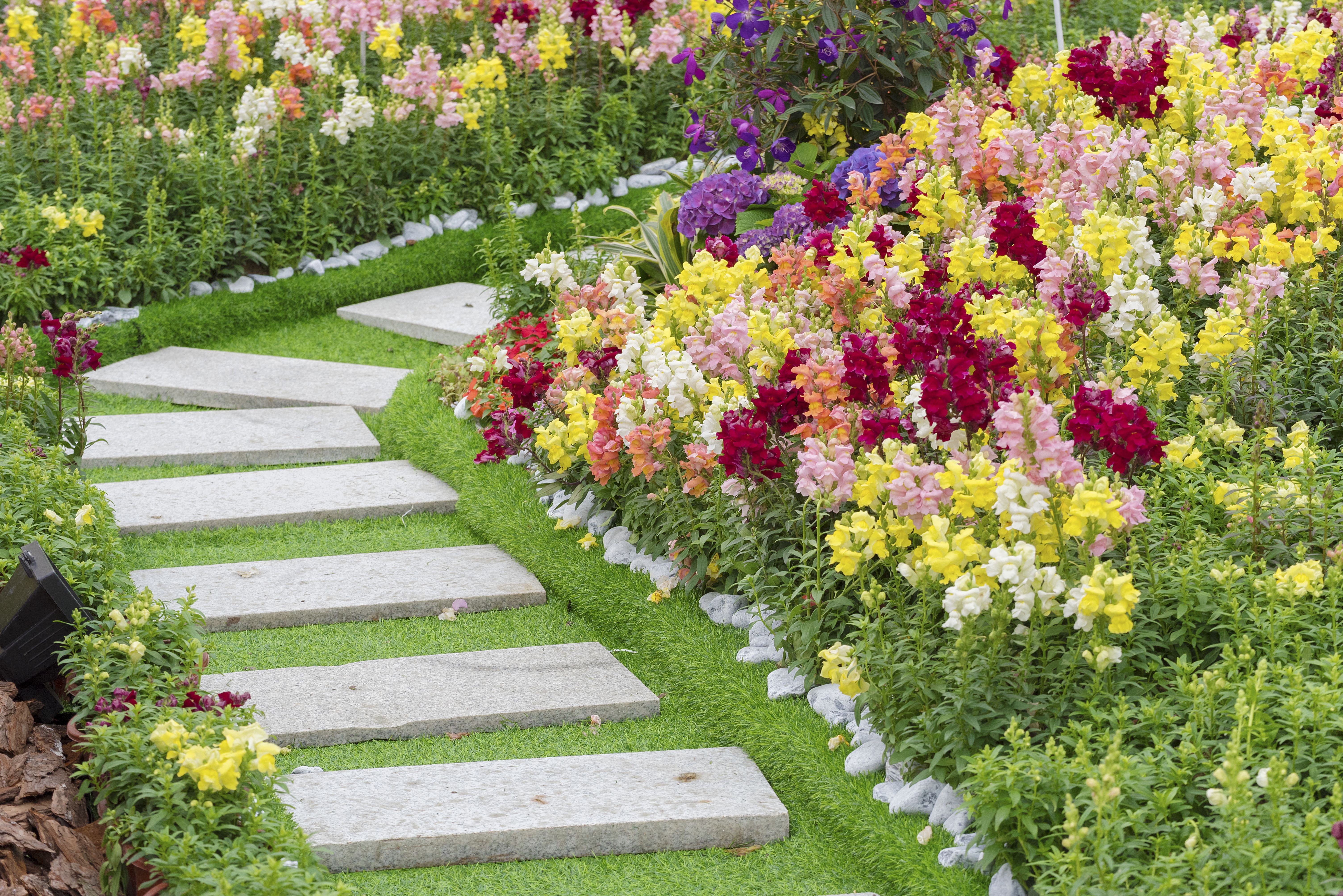 Diseño de jardines: Servicios de Jardinería Monte de Oro Diseño de jardines: Servicios de Jardinería Monte de Oro