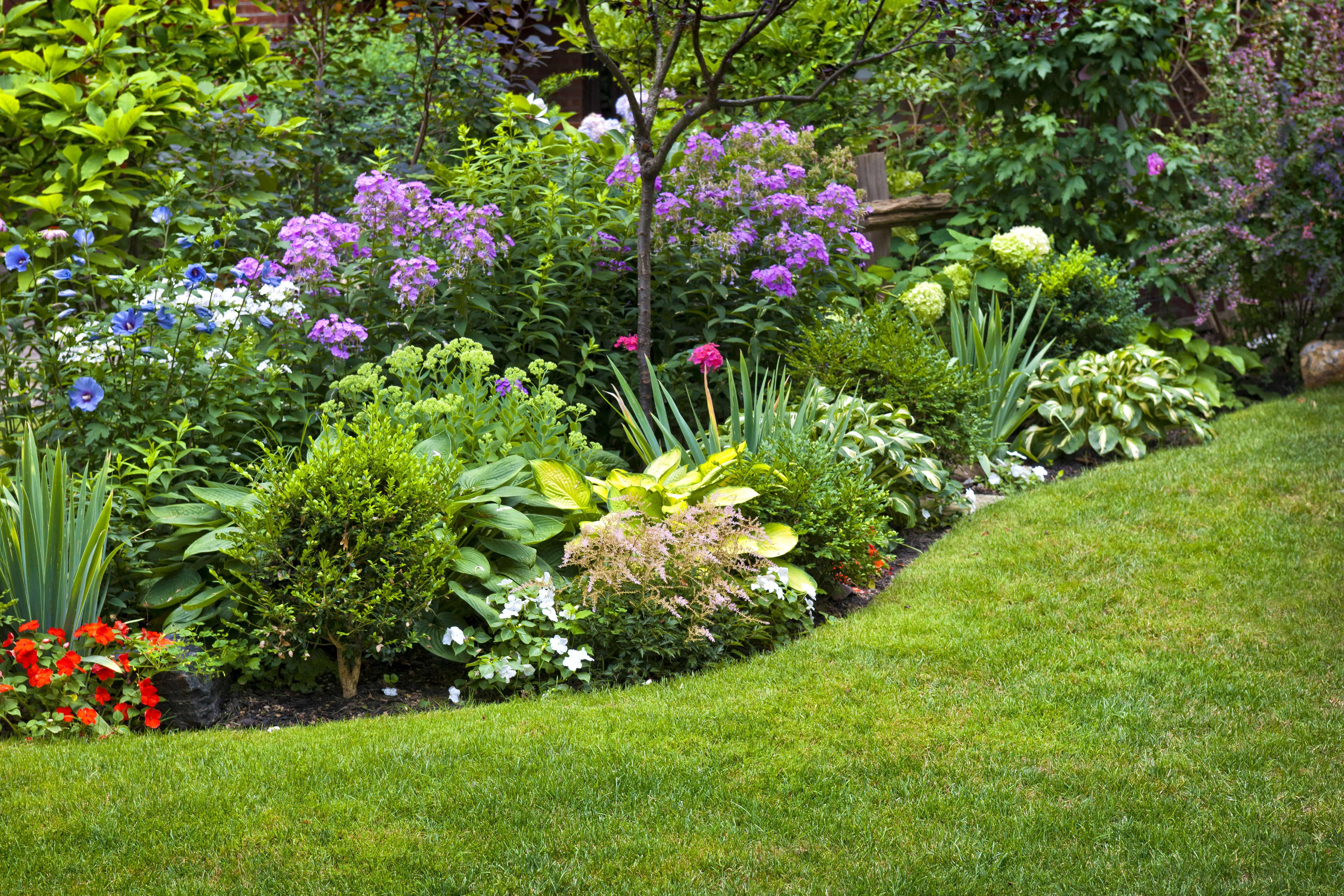Diseño de jardines: Servicios de Jardinería Monte de Oro Diseño de jardines: Servicios de Jardinería Monte de Oro