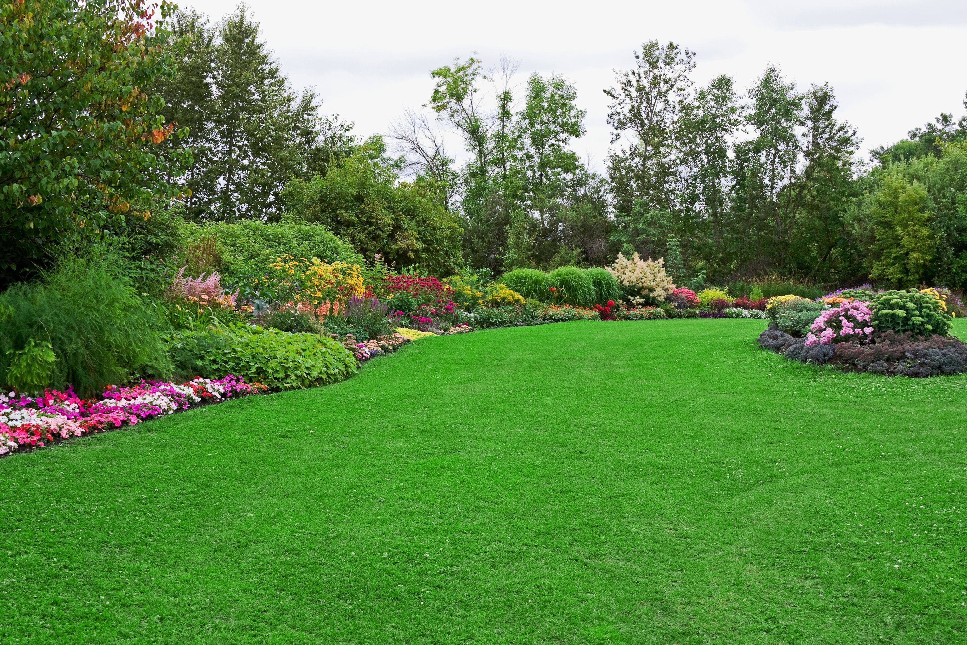 Mantenimiento de jardines: Servicios de Jardinería Monte de Oro Mantenimiento de jardines: Servicios de Jardinería Monte de Oro