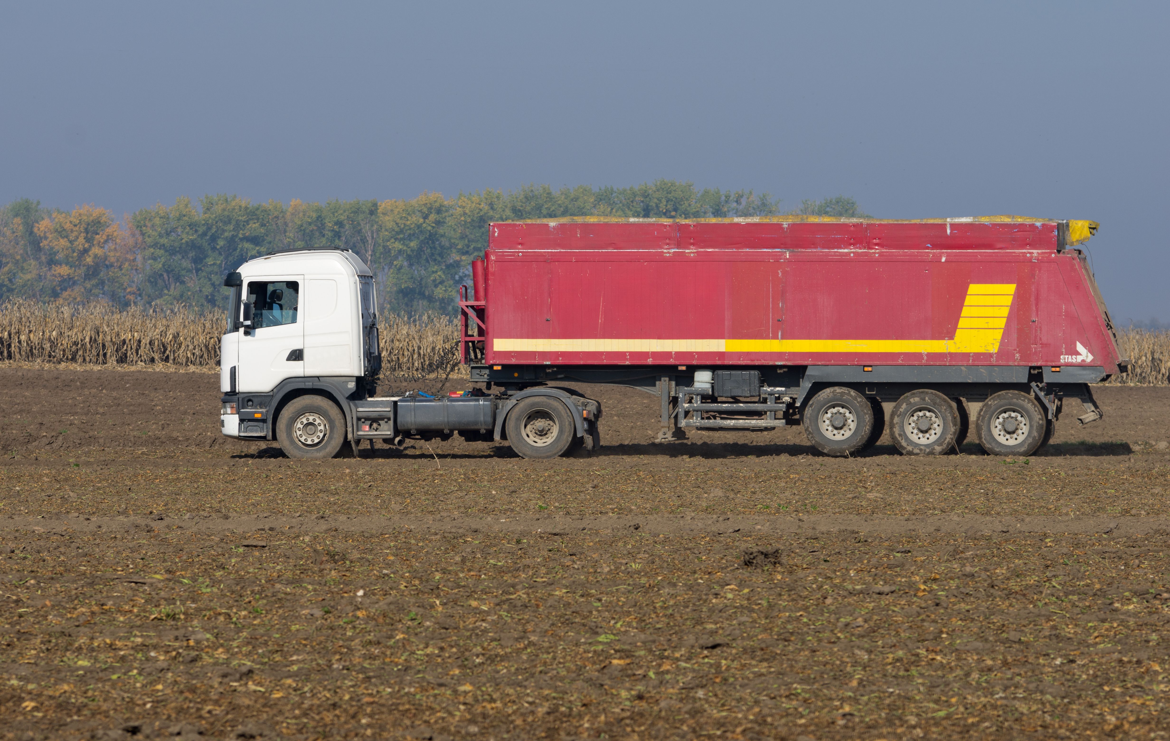 Transportes nacionales e internacionales a granel